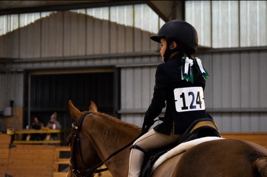 A young Shadow Creek Farm rider competing indoors