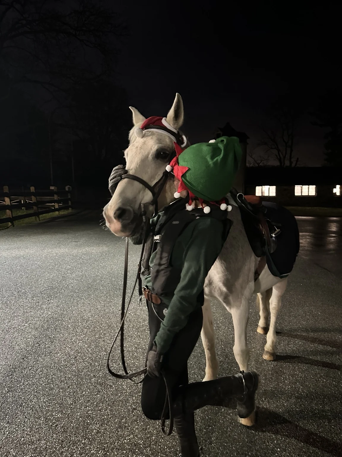 A festive helper in an elf hat beside a grey pony outside the barn in the evening